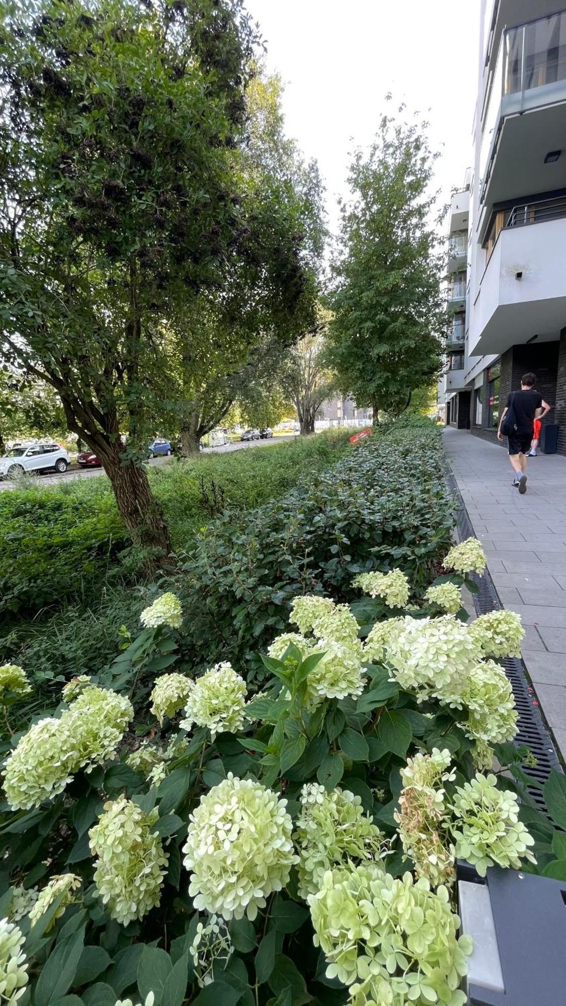 Apartamenty Warszawa Centrum Wlodarzewska 30 Bagian luar foto